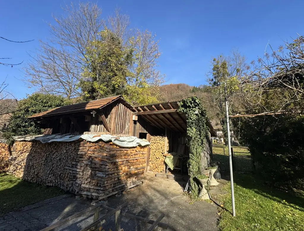 Sanierungsbedürftiges Mehrfamilienhaus mit großem Grundstück und hoher Bebauungsdichte