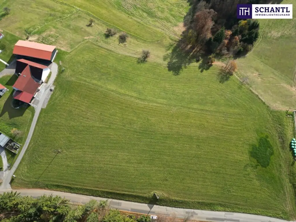 SPITZEN Grundstück vollerschlossen mit hoher Bebauungsdichte - ca. 330m² Wohnfläche in Oisnitz / St. Josef - Nähe Lannach