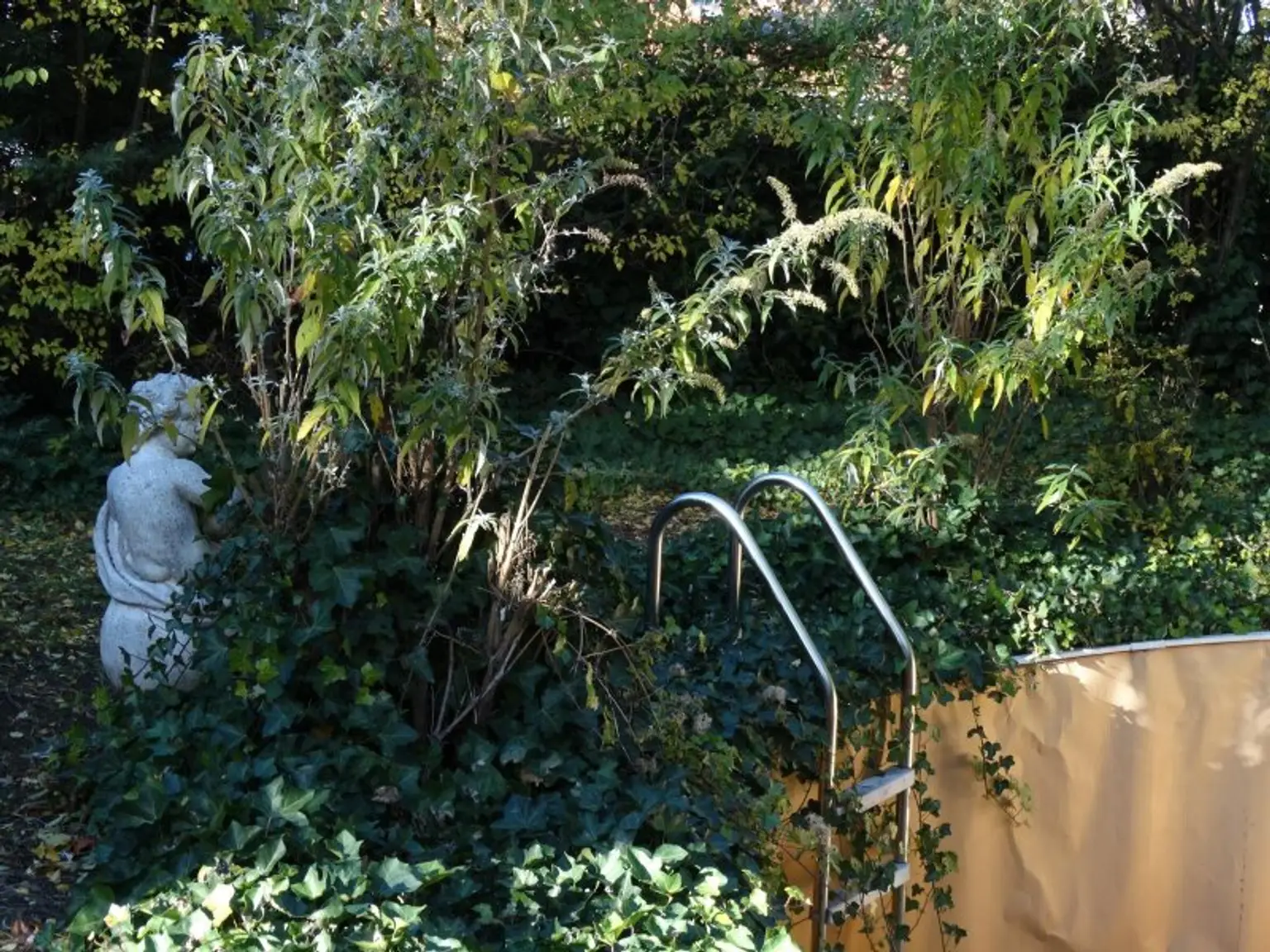 BUNGALOW INMITTEN DER VEGETATION IN RUHELAGE