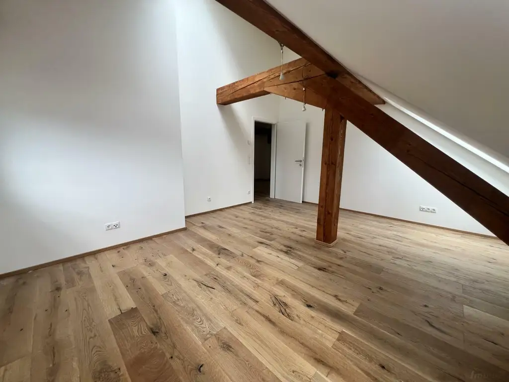 Penthouse-Wohnung + 270m2 Dachterrasse zur Miete als Wohnung oder Büro