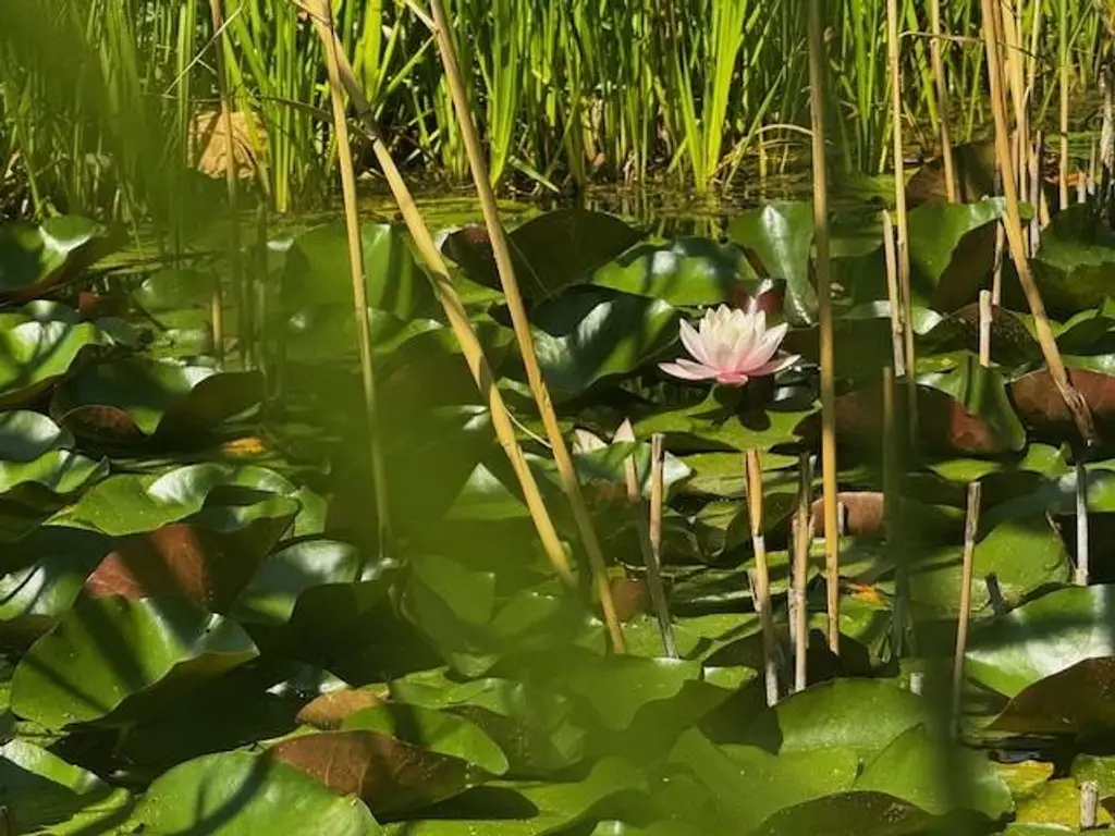 Wohnhaus inmitten vom Gartenparadies