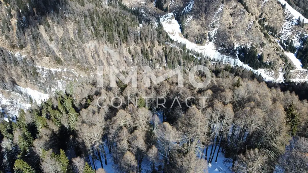 Waldparzellen am Fuße des Großglockners