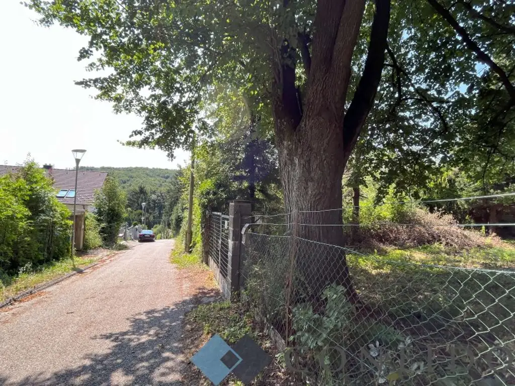 Rarität - Grundstücke in Ruhelage an der Grenze Wiens zu verkaufen!