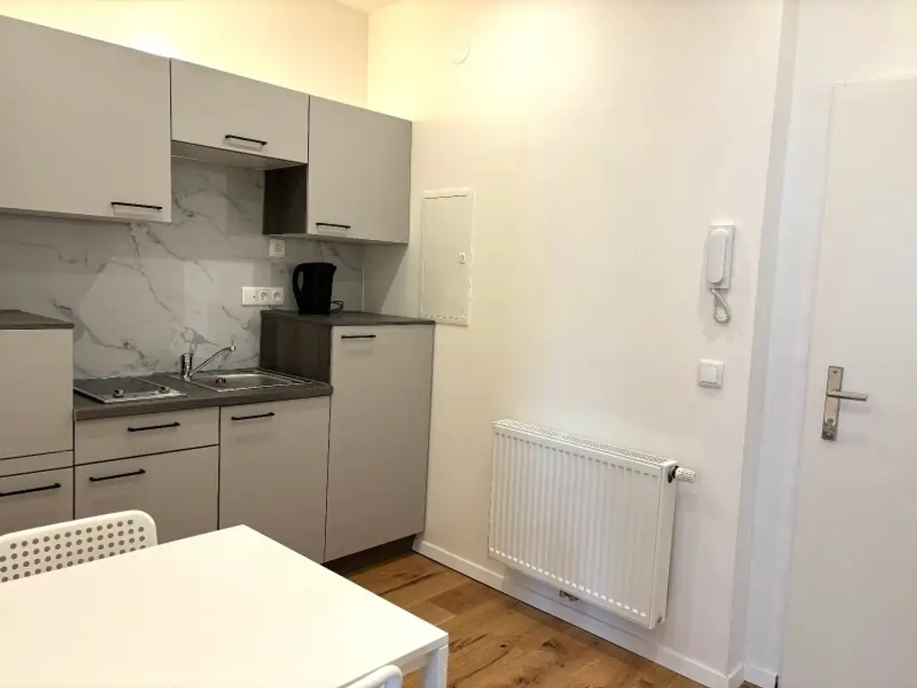 Neusanierte ein Zimmerwohnung