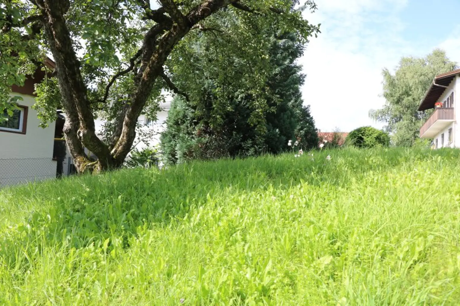Seltene Gelegenheit: Grundstück für Einfamilienhaus in Arzl