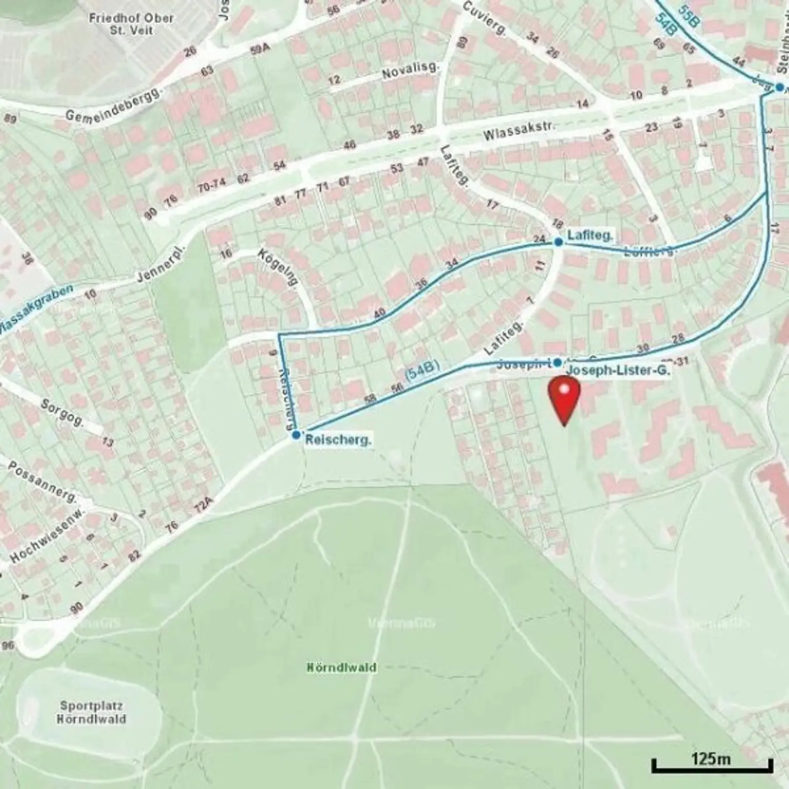 Herrliche Aussicht beim Hörndlwald - Exklusives Appartement - Grünruhelage