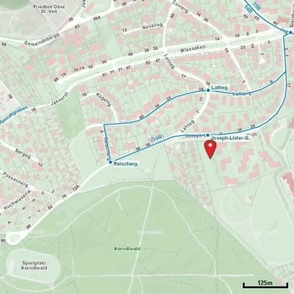 Herrliche Aussicht beim Hörndlwald - Exklusives Appartement - Grünruhelage