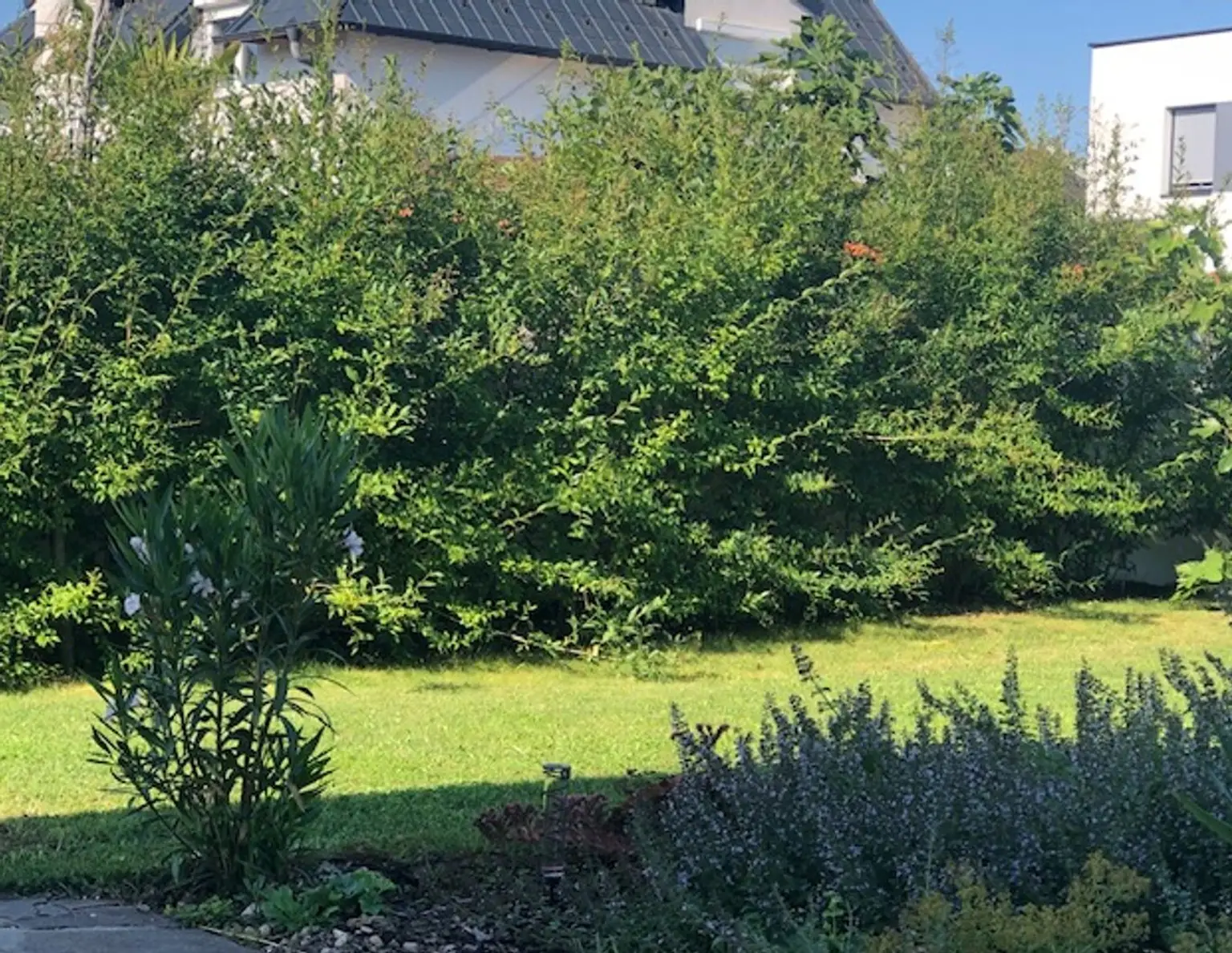 30 min nach Wien - Toplage in Kottingbrunn