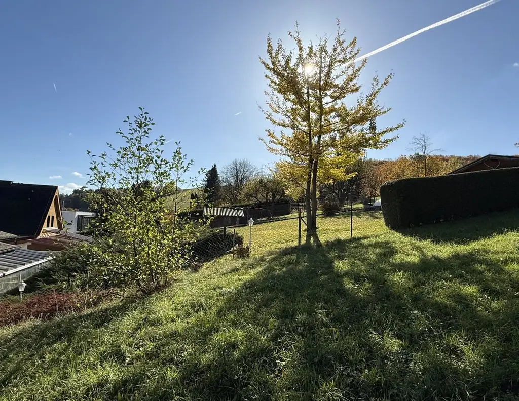 Wo der Morgen nach Wald duftet!