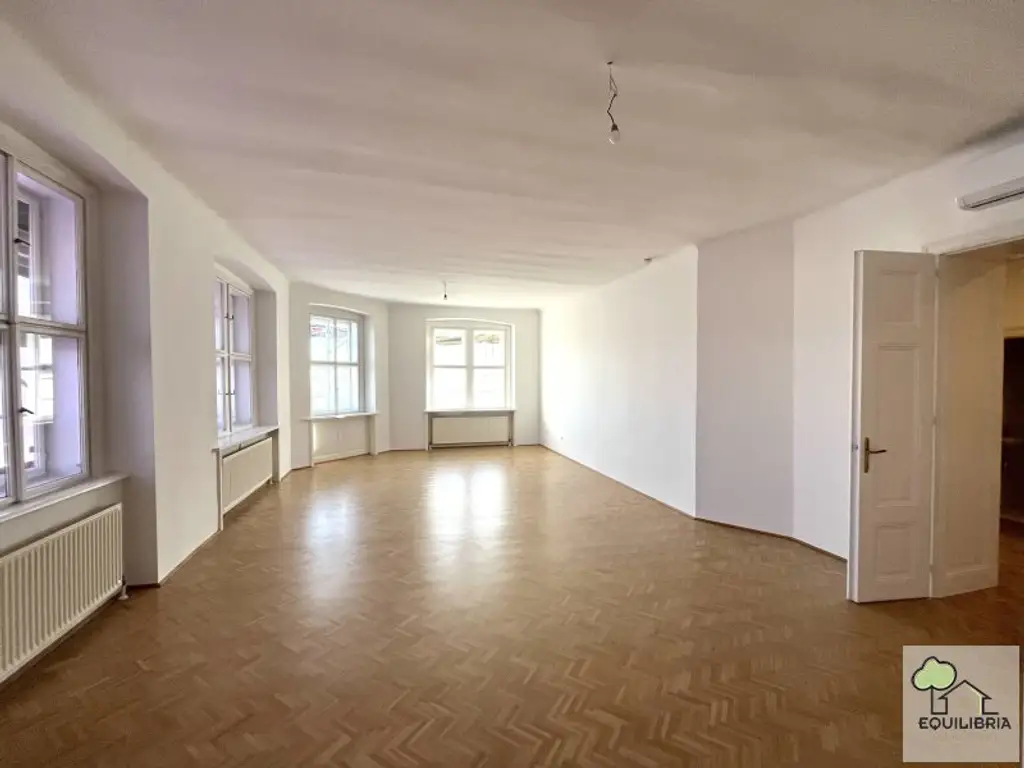REPRÄSENTATIVES ALBAU BÜRO ZU MIETEN -Franz-Josefs-Kai
