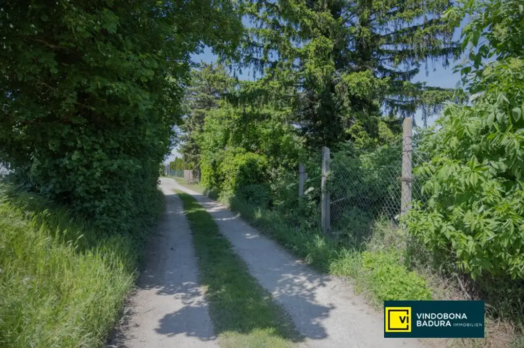 BIETERVERFAHREN | Guter Grund mit bestem Boden | Sonniges Baugrundstück in Unterlaa