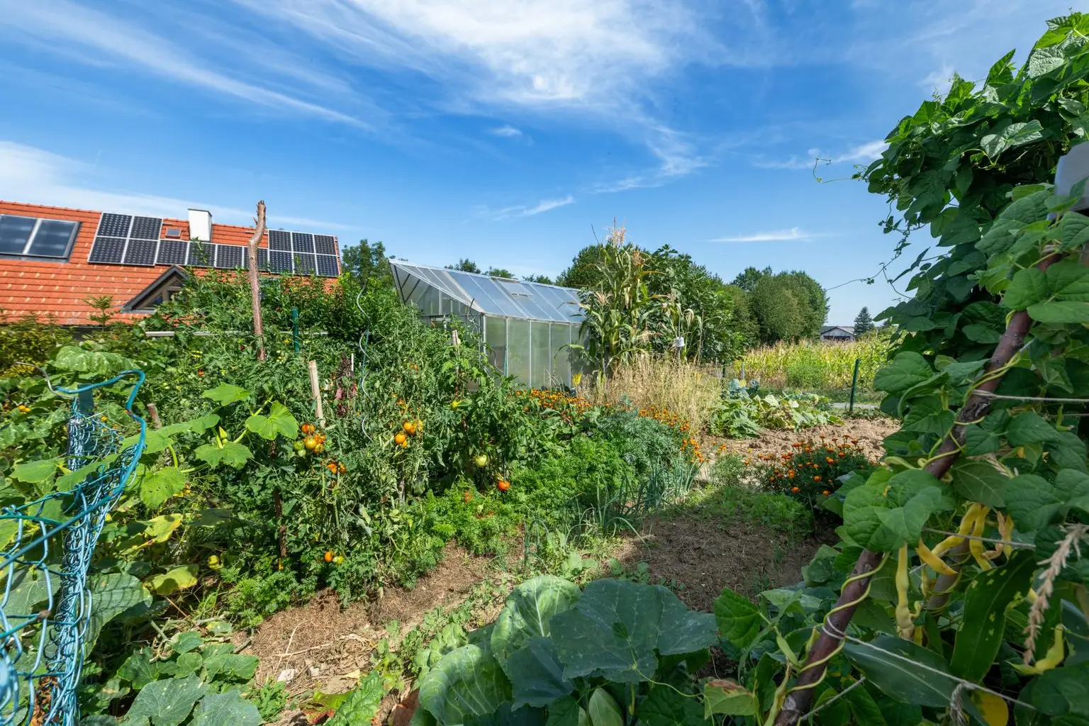 Garten vorne