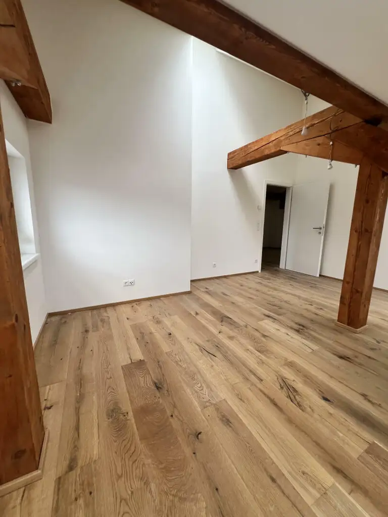 Penthouse-Wohnung + 270m2 Dachterrasse zur Miete als Wohnung oder Büro