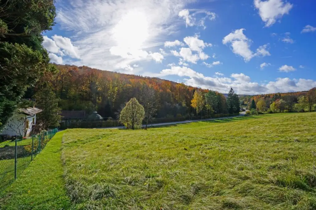 Großzügiges, naturnahes Grundstück in sonniger Ruhelage und mit herrlicher Aussicht