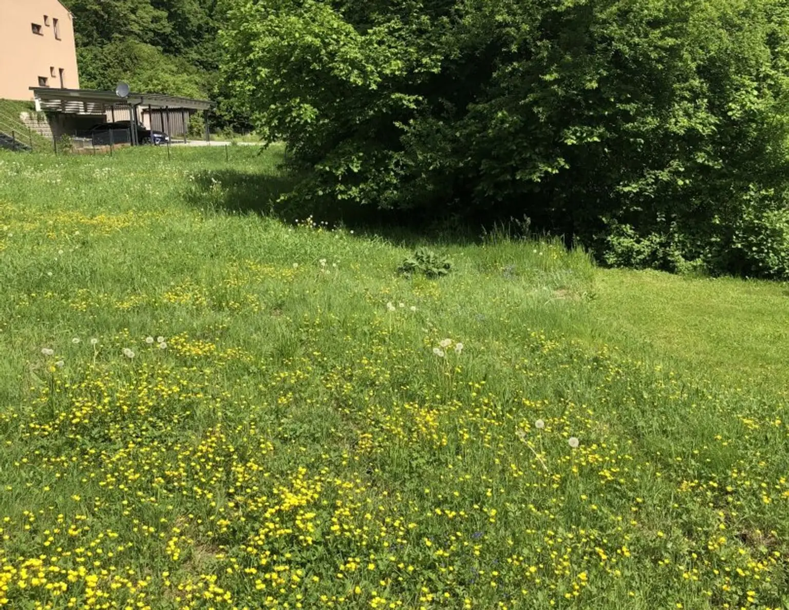 805 m² Grundstück direkt am RADWEG, aufgeschlossen, SONNENLAGE 8051 GÖSTING