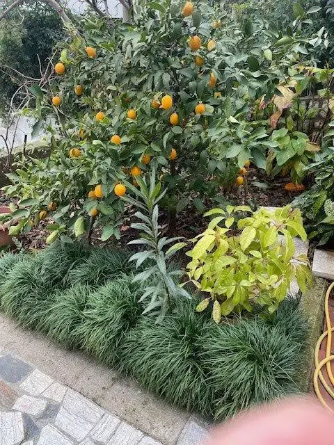 Crikvenica/Kacjak: Apartmenthaus mit 5 Wohneinheiten, nur 140 Meter vom Strand entfernt!