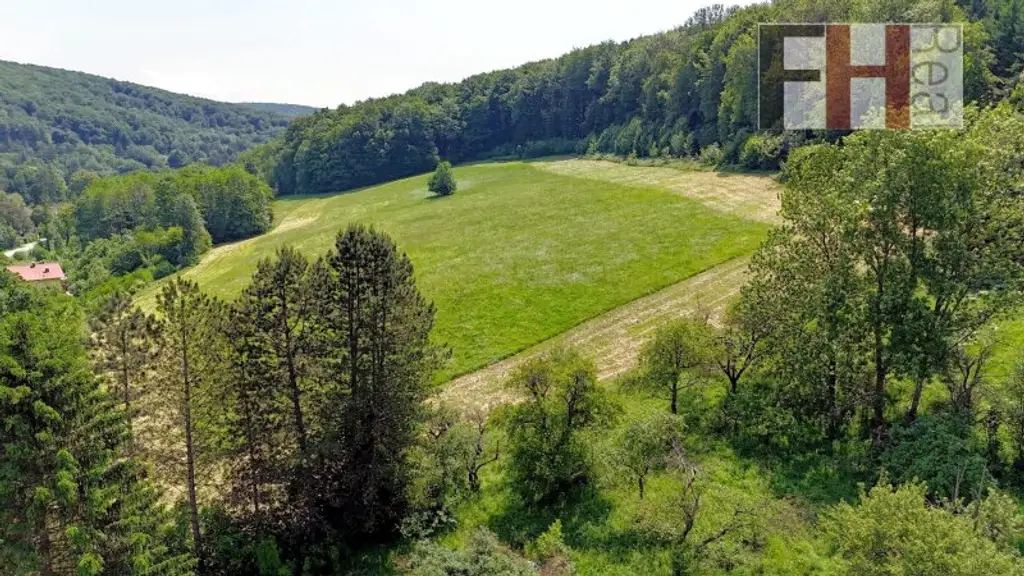 Herrschaftliches, historisches Anwesen, 94.000m² Grund, WNFL 720m², absolute Ruhelage in Pressbaum!