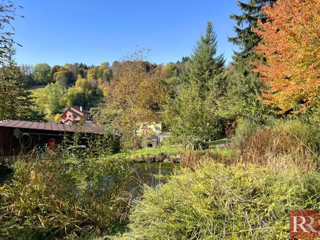 Jahrhundertwendehaus mit großem Grundstück
