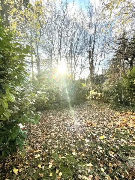 Prestige Living in Sievering: Großzügige Gartenwohnung mit Stil