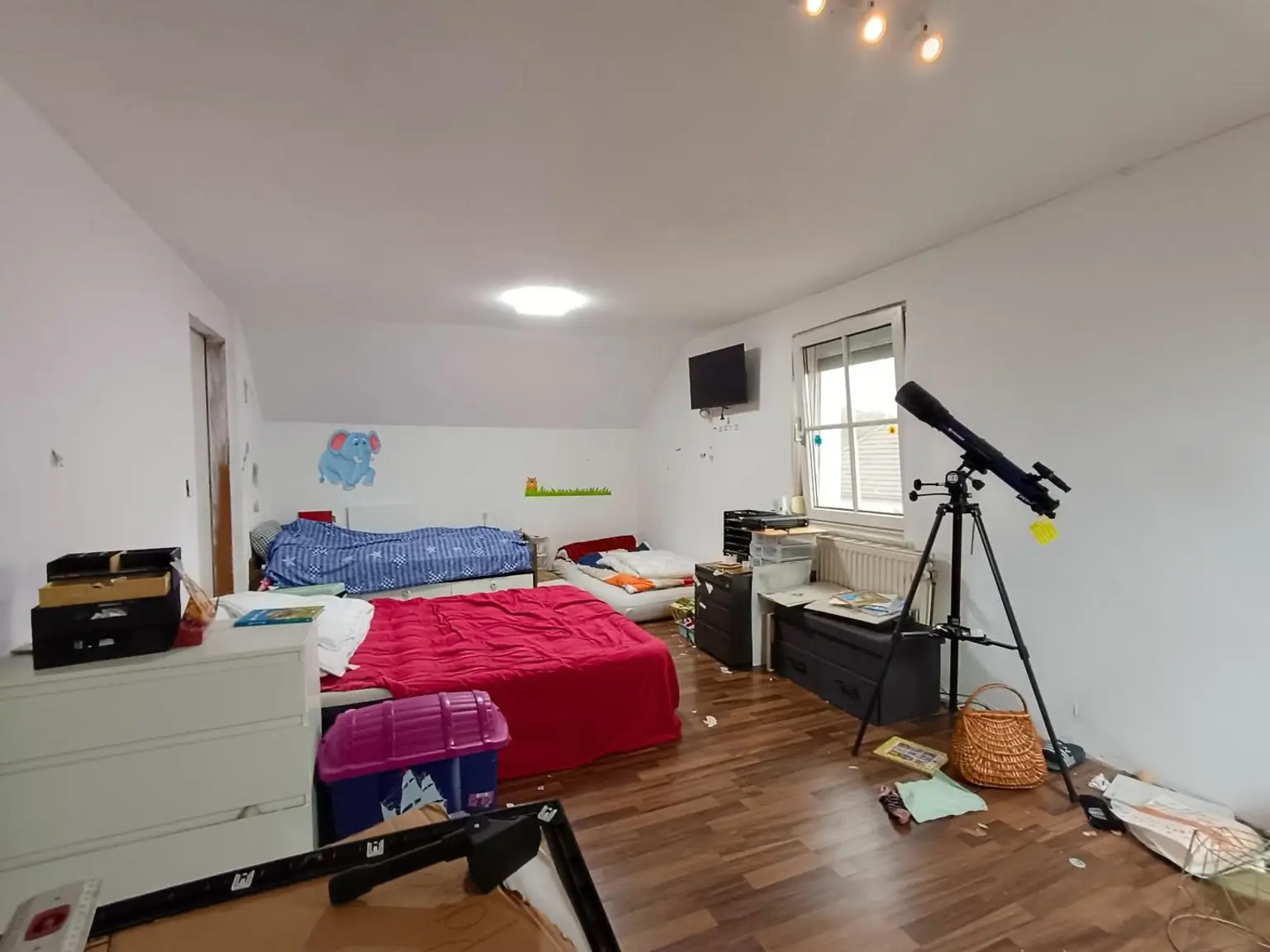Einfamilienhaus mit Potential in Traiskirchen