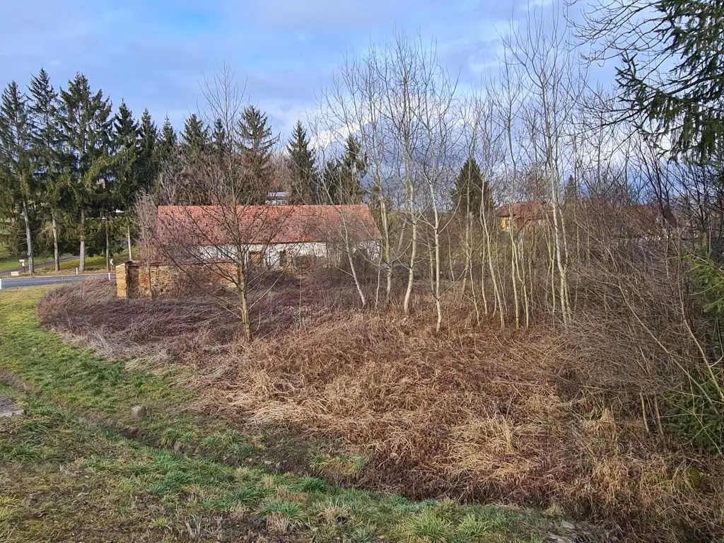 Grundstück mit Altbestand in der Südoststeiermark