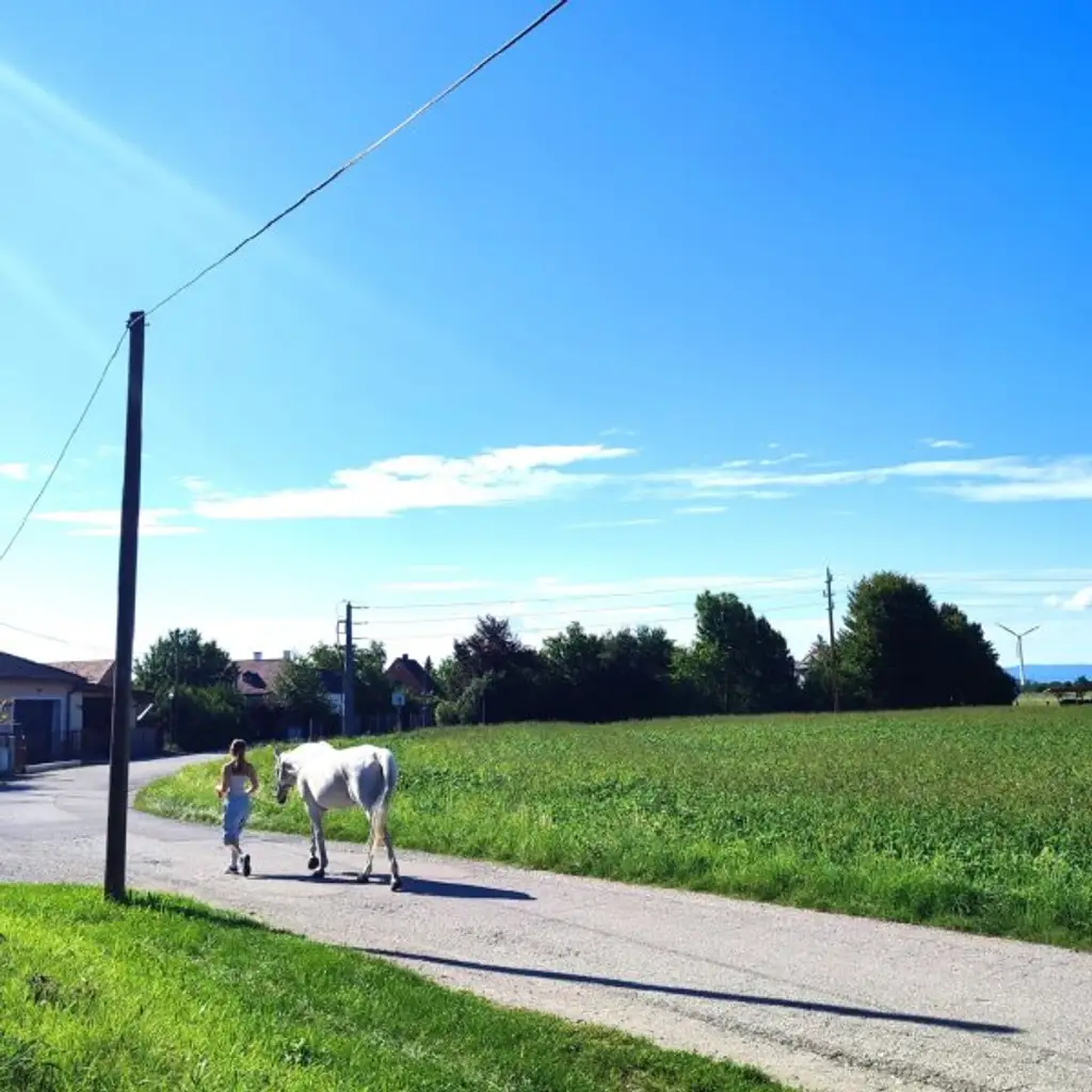 Modern, neu & herrlich ruhig