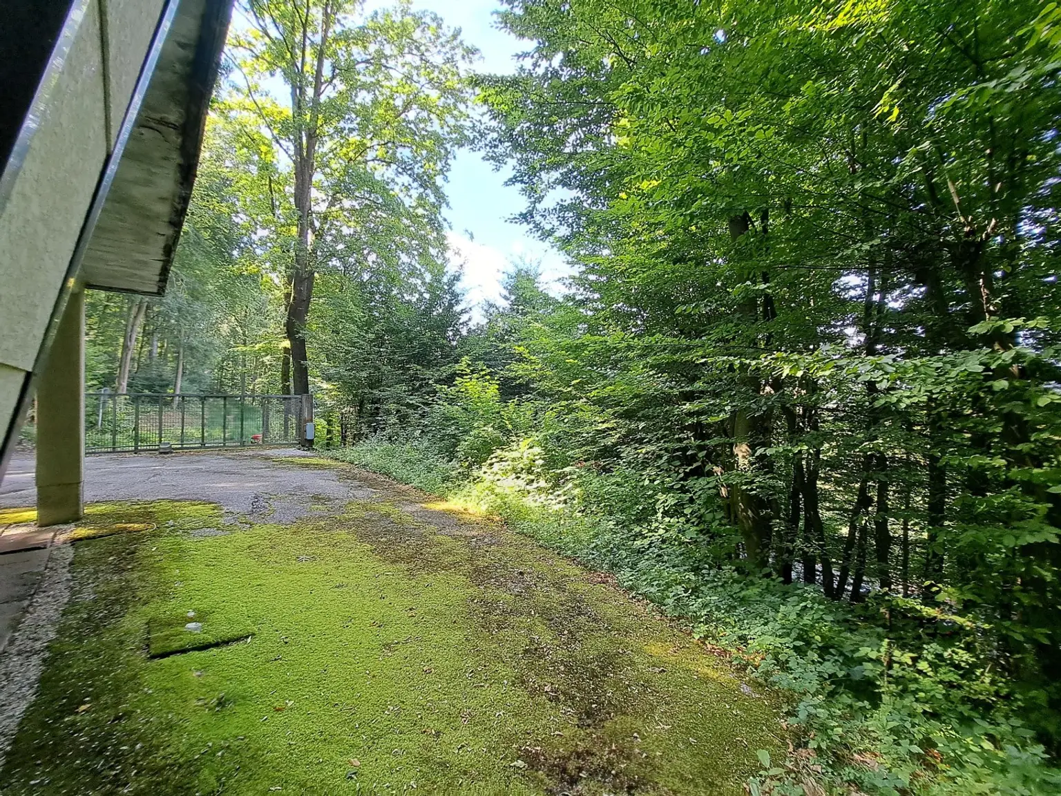 Einfamilienhaus mit Wohnrecht und 1875 m² Grund - idyllische Waldrandlage in Steyr/Fischhub