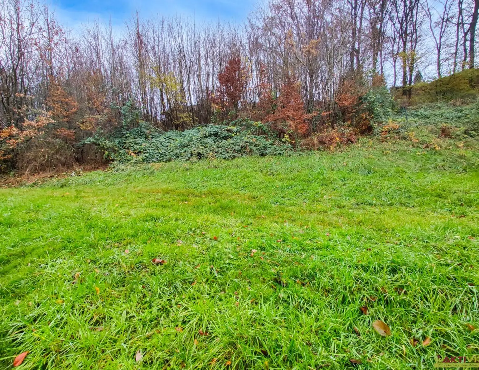 Wohnbau-Grund mit Waldanteil zentral in Lambach. - Infrastruktur und Bahn fußläufig. - Unter 15 Min. nach Wels.