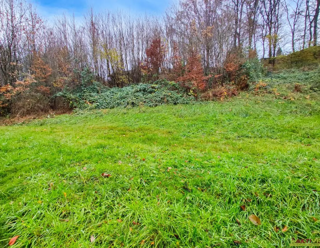 Wohnbau-Grund mit Waldanteil zentral in Lambach. - Infrastruktur und Bahn fußläufig. - Unter 15 Min. nach Wels.