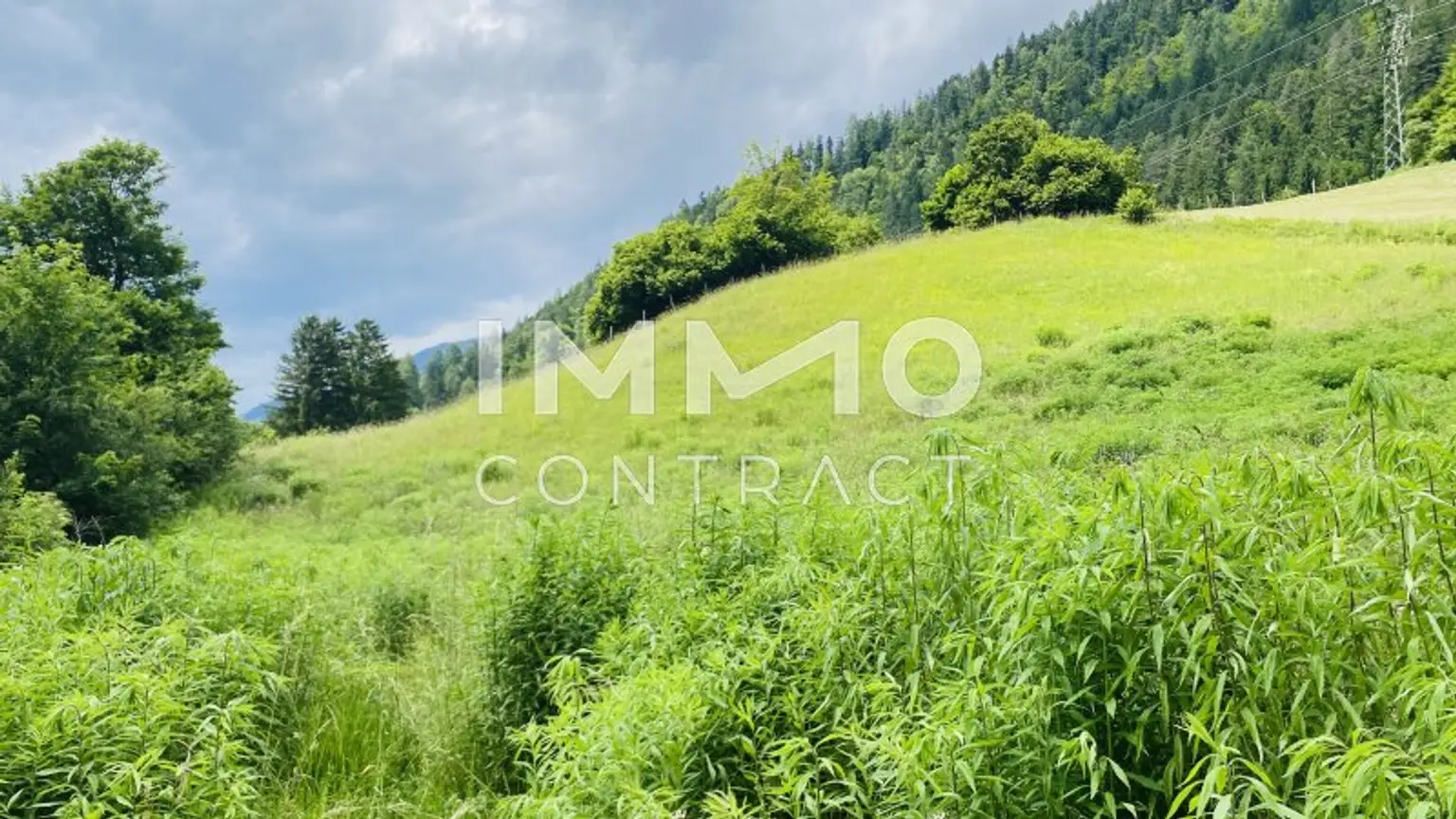 Grundstücke mit Altbestand