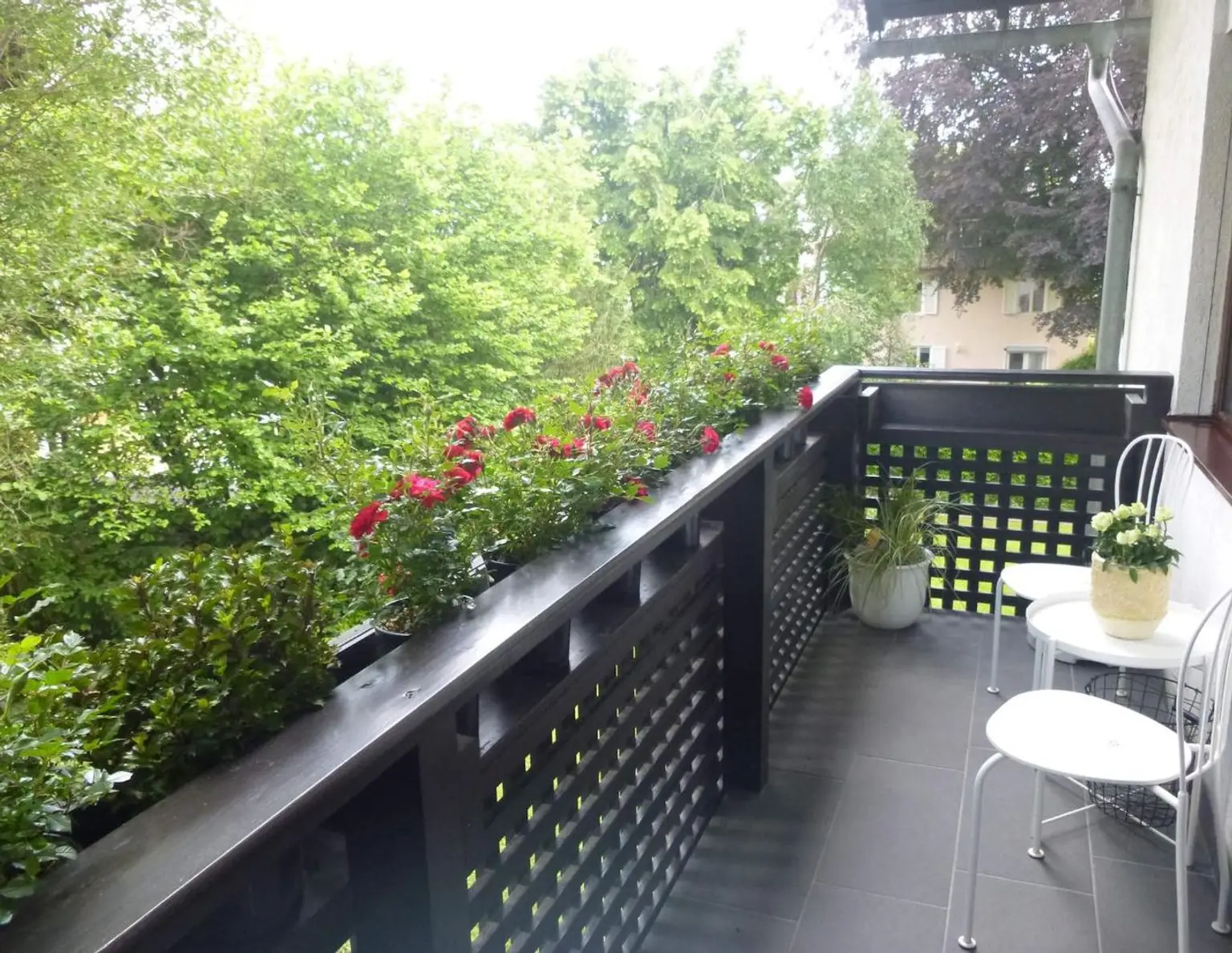 Salzburg Riedenburg: Oase der Ruhe 33,64 qm Garconniere mit 5 qm Balkon, sonnig, inklusive Tiefgarage