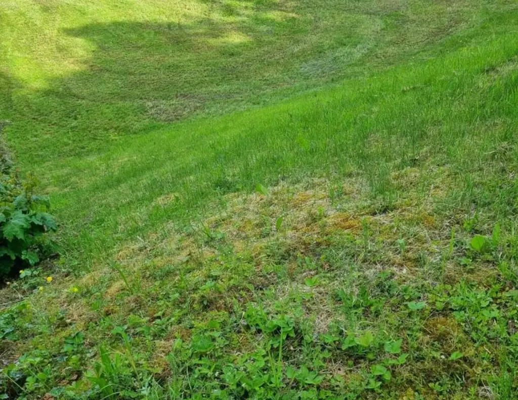 Baugrundstück in 4111 Walding