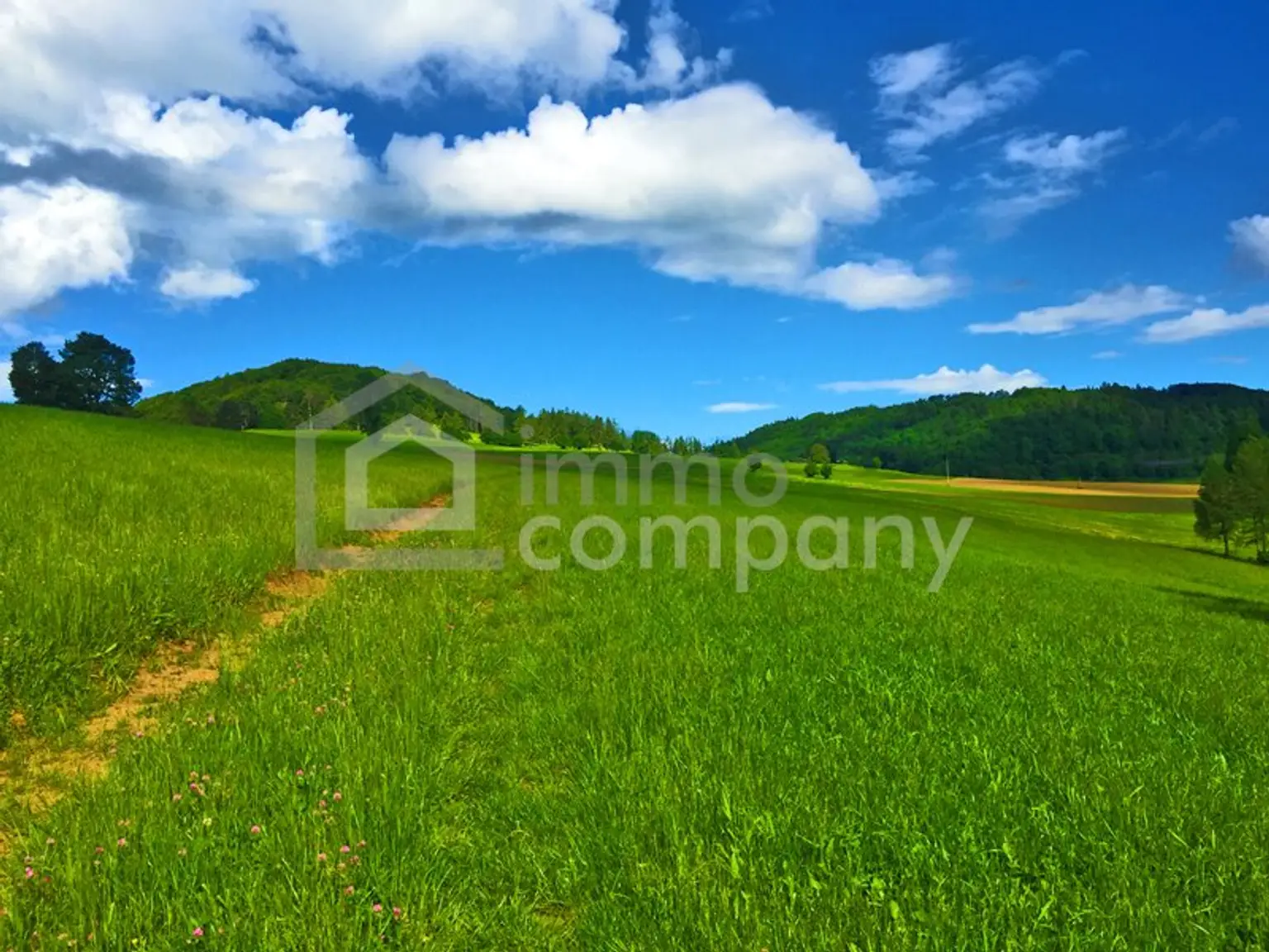 Uriges Landhaus - Traumlage - plus  Pool - Grundfläche 1.594 m² - Renovierung und Schönheitsreparaturen sind erforderlich, dennoch sofort beziehbar!