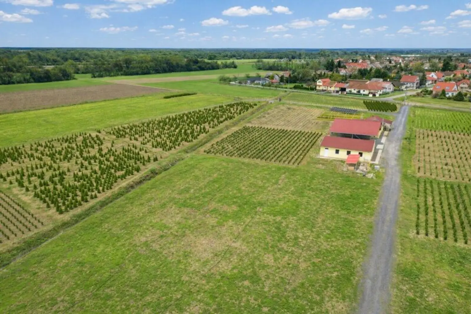Luftaufnahme des gesamten Areals