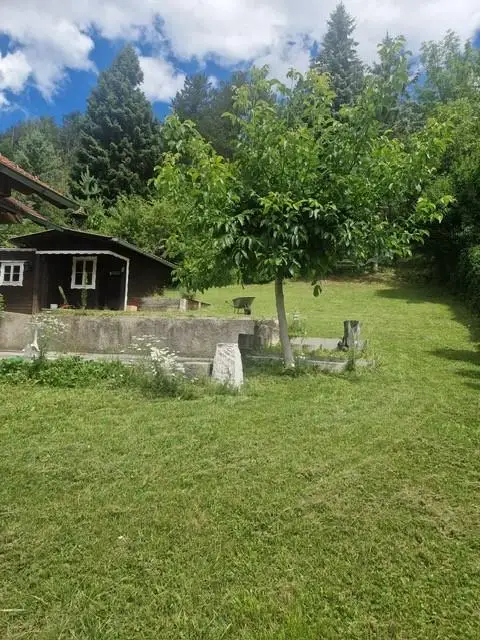 Ihre Liegenschaft mit soviel Wald! Errichten Sie hier Ihr Traumhaus!