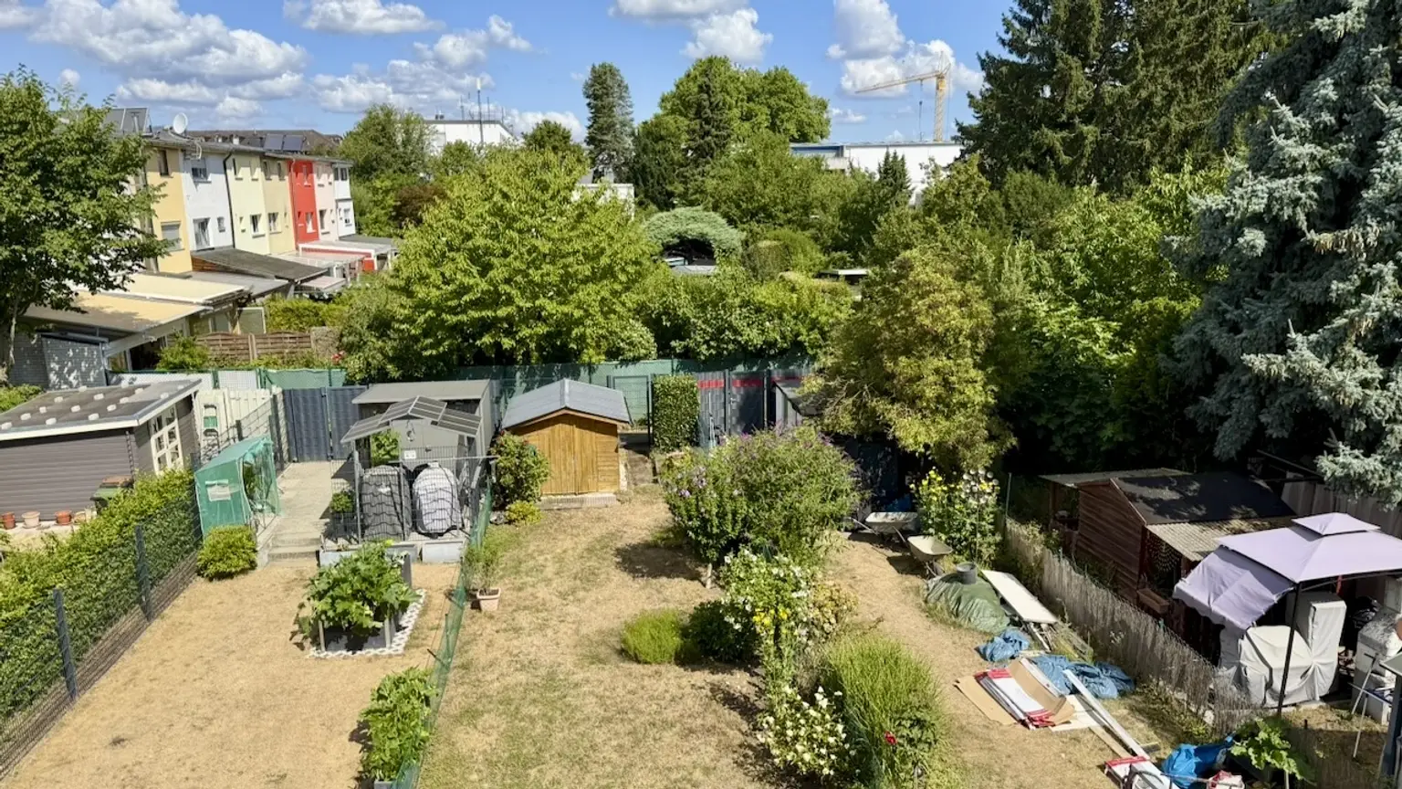 Ausblick DG