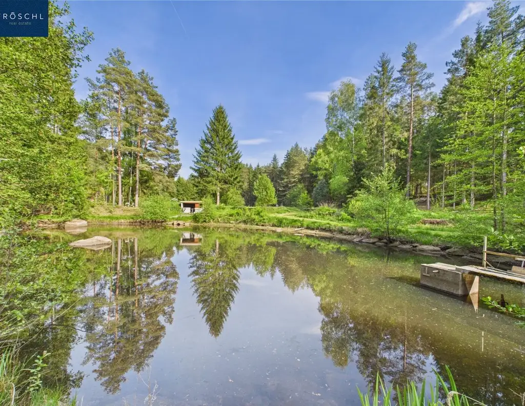 NATURJUWEL WALDVIERTEL - Professionelle Waldteichanlage 4,3 ha - ANGEBOTSVERFAHREN