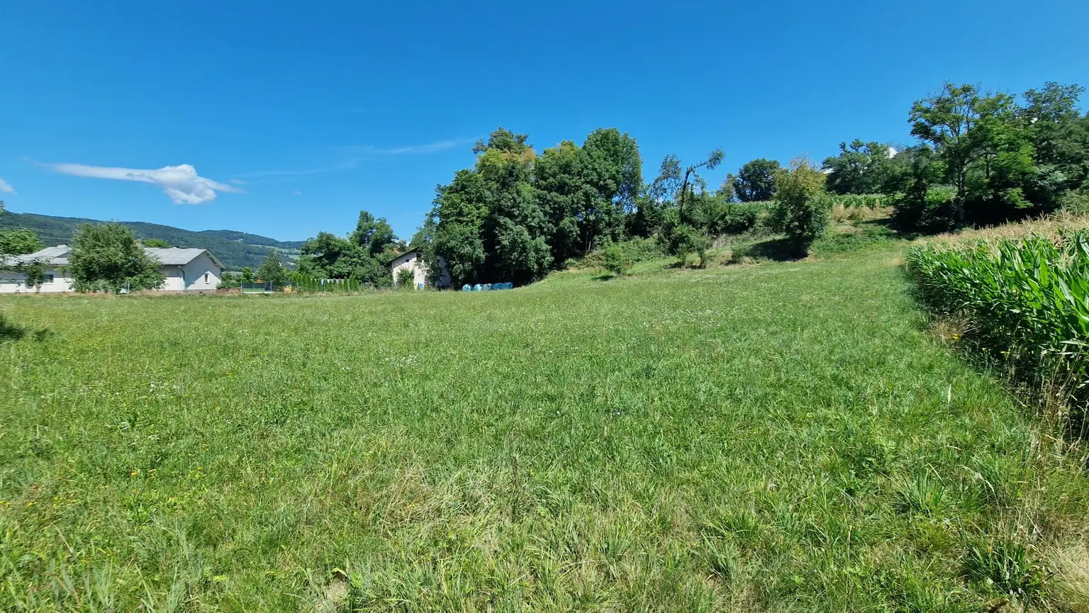 Traumhaftes, ca. 3.109 m² großes Baugrundstück mit Blick auf die Karawanken im Bezirk Völkermarkt