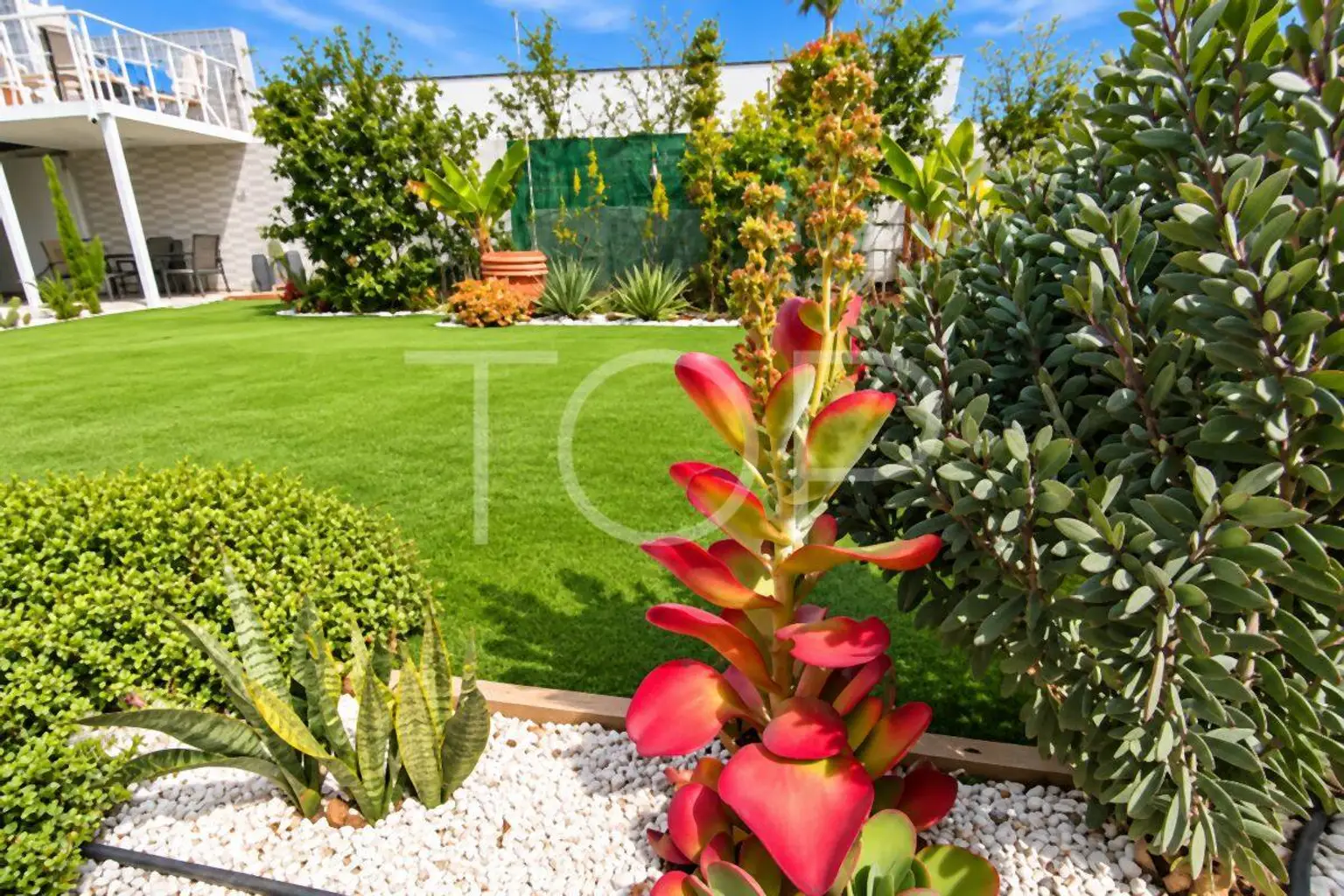 House-Buzanada-xxx-Teneriffa15