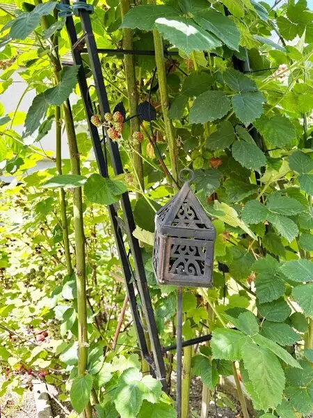 GARTENPARADIES MIT EINFAMILIENHAUS-FLAIR!