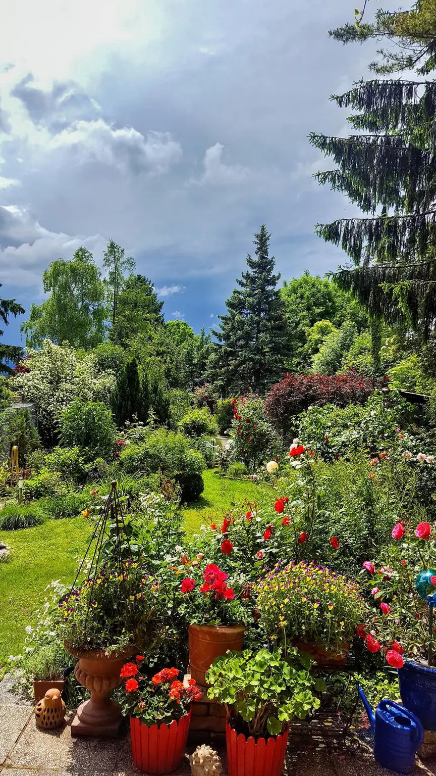 Garten 3