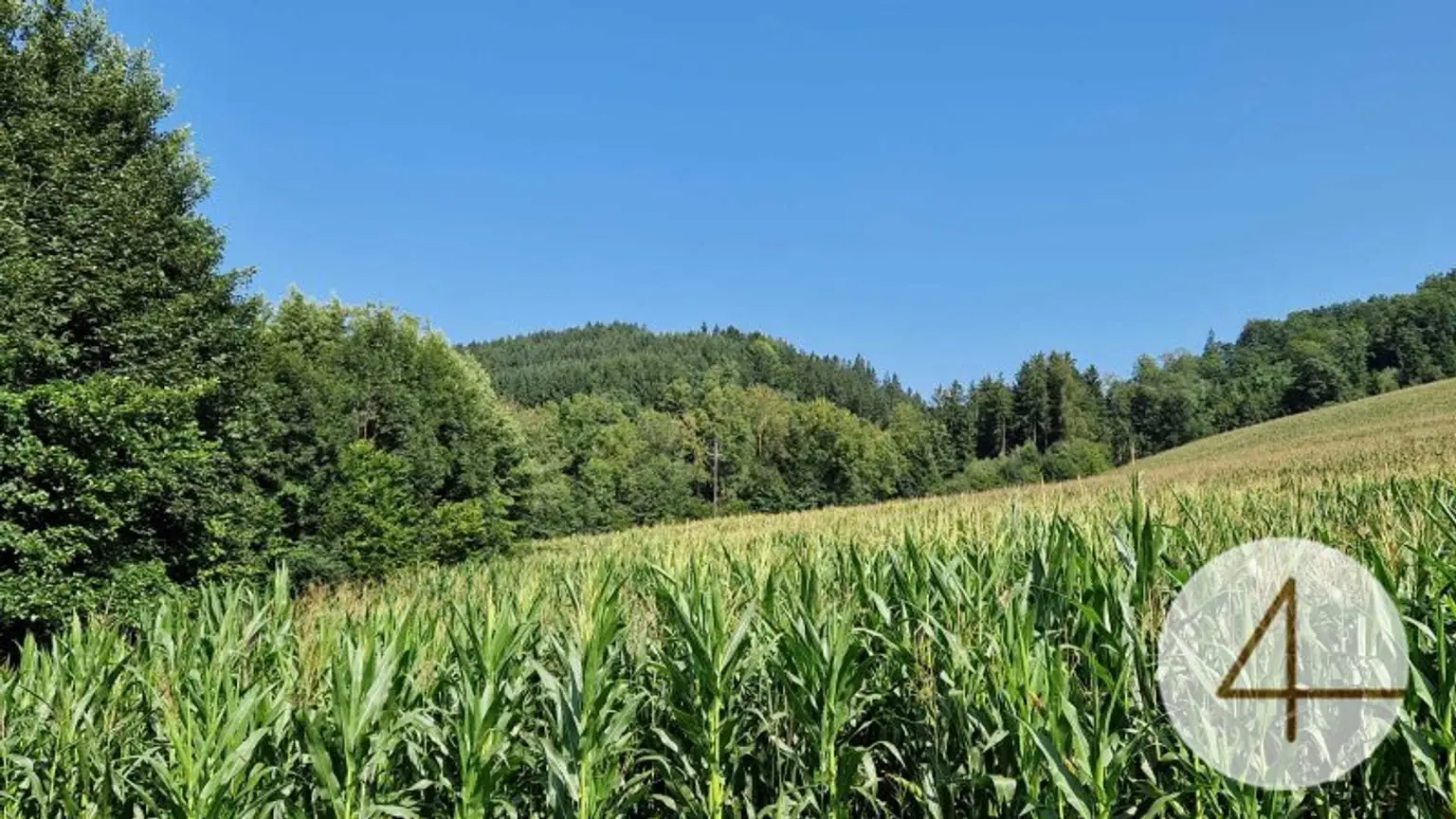Ackerfläche von 8,8ha zu verkaufen