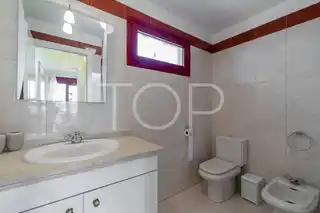 Apartment-Palm-Mar-xxx-Tenerife-7