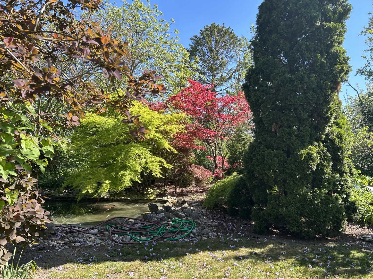 Garten