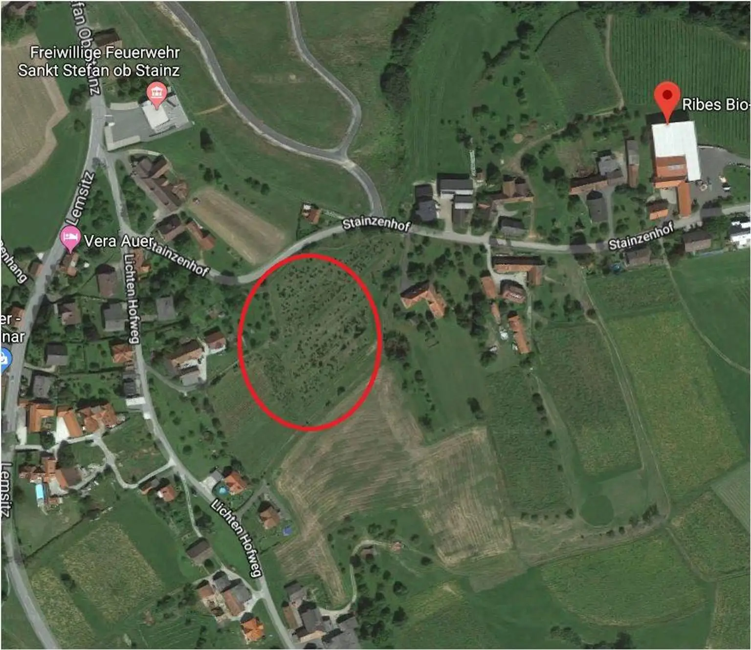 Luftbild Schriebl Gruende St Stefan