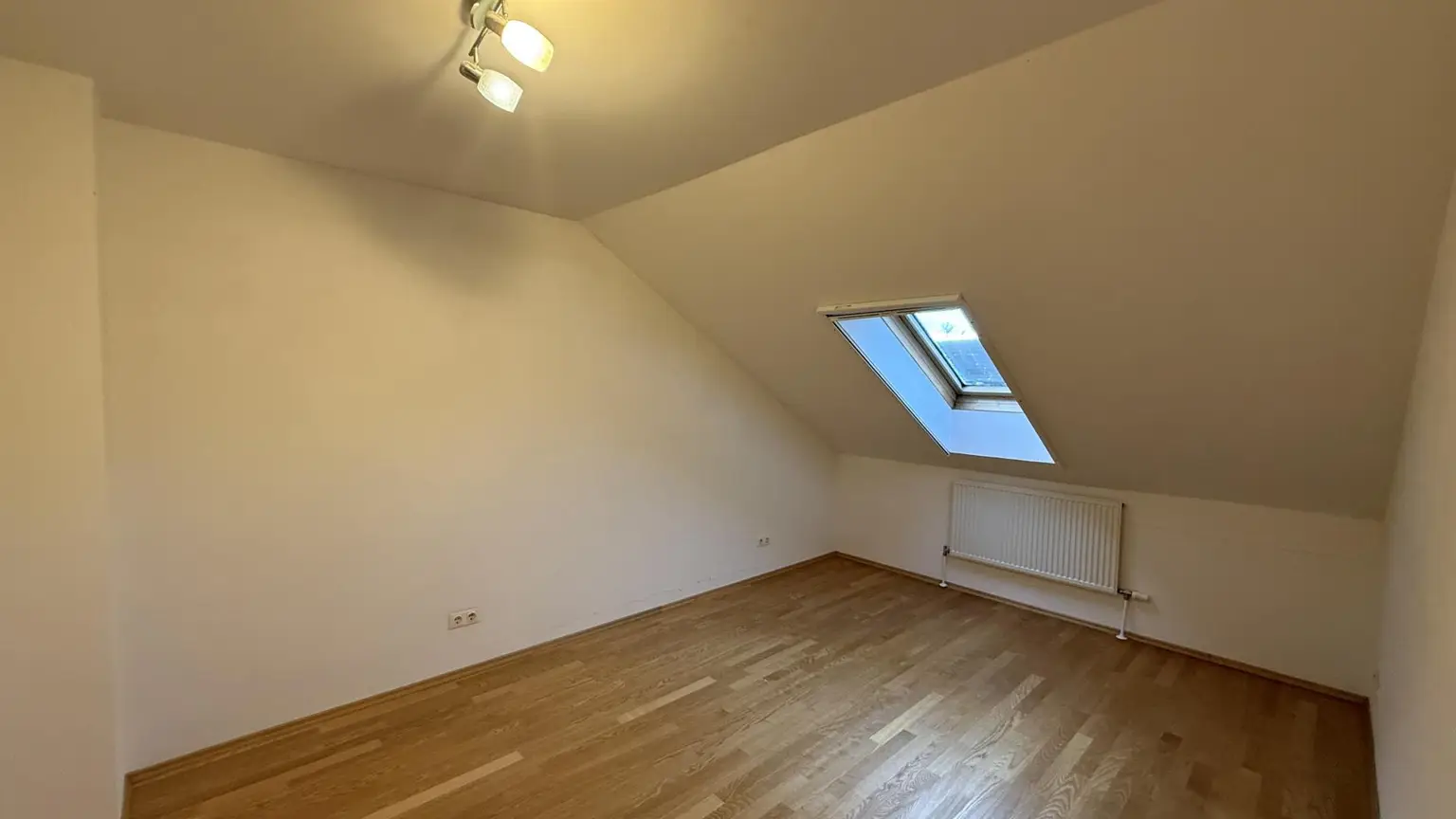 Zimmer DG