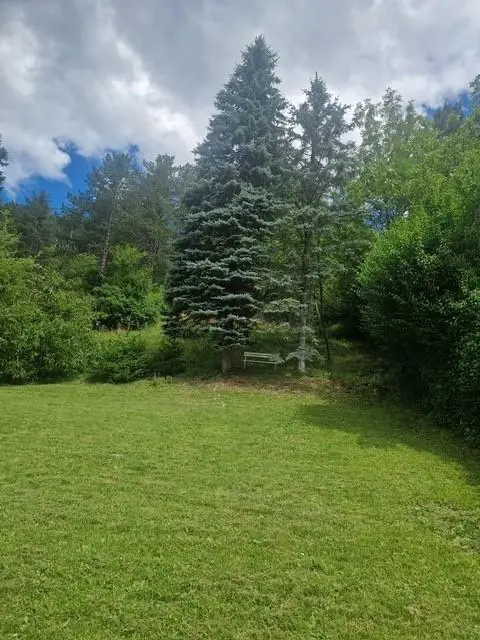 Ihre Liegenschaft mit soviel Wald! Errichten Sie hier Ihr Traumhaus!