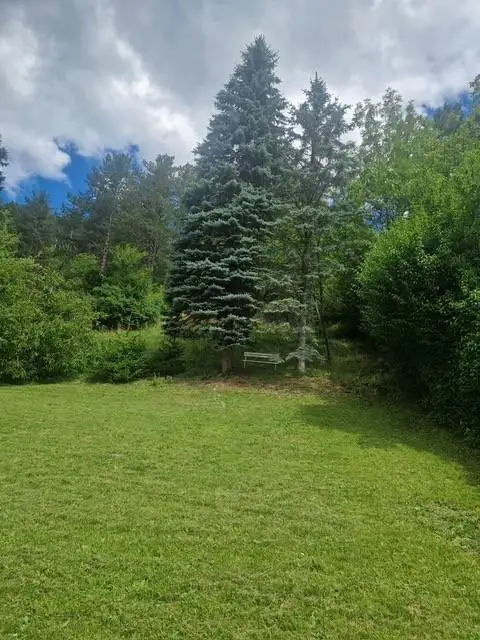 Ihre Liegenschaft mit soviel Wald! Errichten Sie hier Ihr Traumhaus!