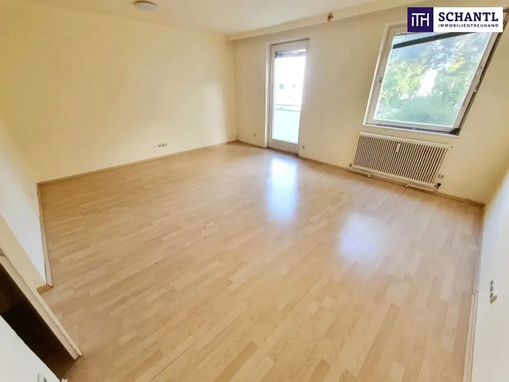 Absolute Grün- und Ruhelage! Gebraucht. Gepflegt. Geliebt! Perfekt aufgeteilte 3-Zimmer + separate Küche / 2 Balkone / Viele Möglichkeiten! Ruhig wohnen, gut leben!