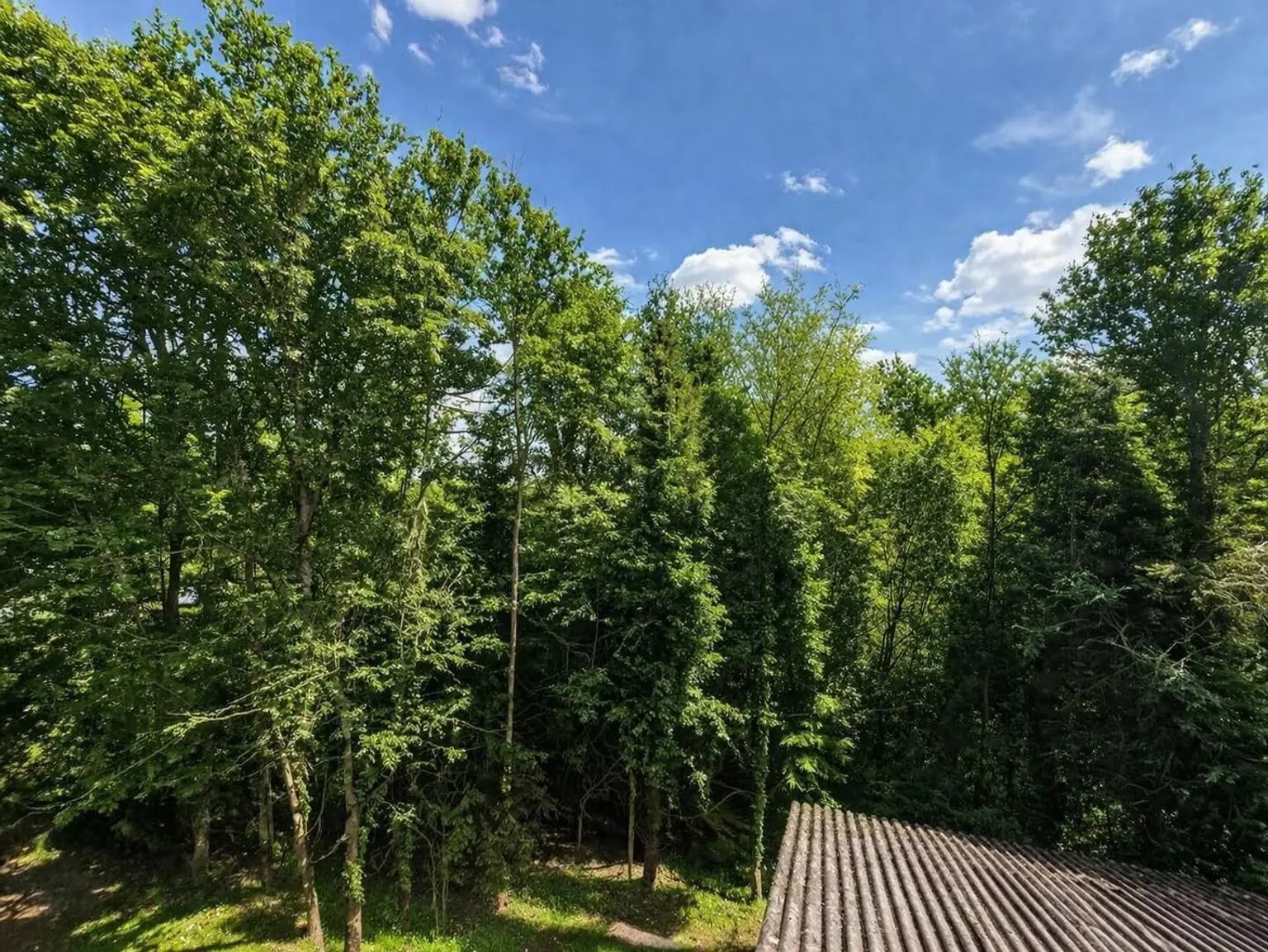 **Im Hügelland mit Fernblick: Einfamilienhaus mit Wäldchen, Nebengebäude & 2 Garagen**